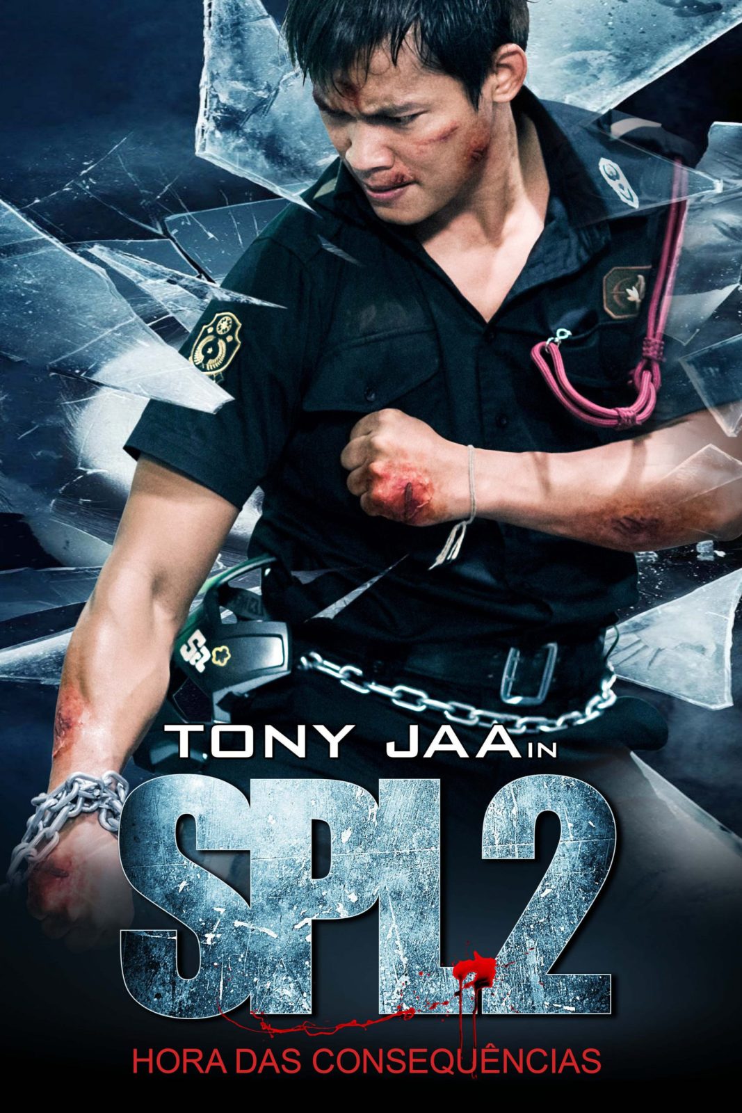 دانلود فیلم 2015 Kill Zone 2 دانلود فیلم 2015 Kill Zone 2